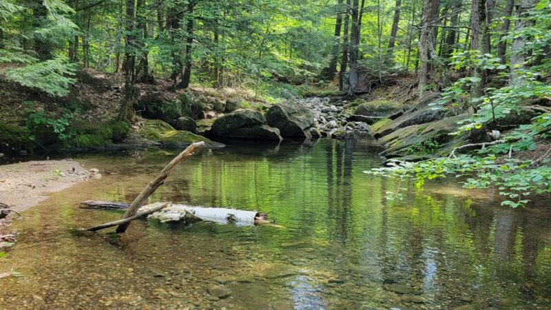 Esker Loop Trail - Gilead, ME