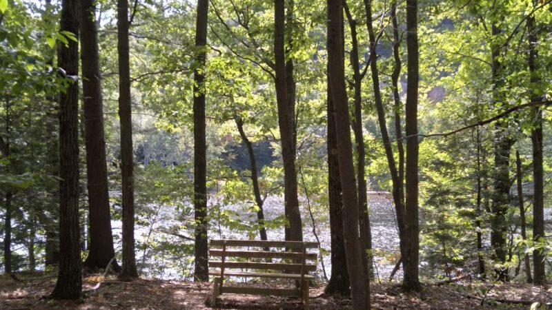 Esker Loop Trail - Gilead, ME