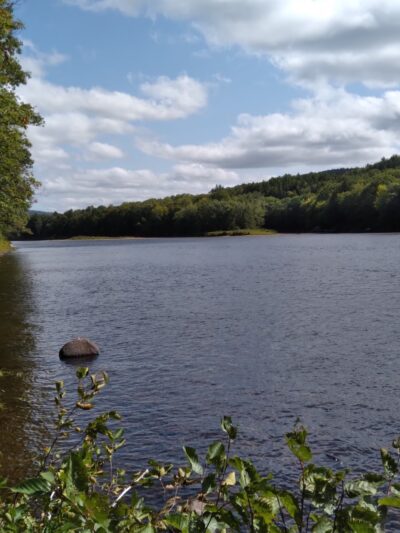 Esker Loop Trail - Gilead, ME