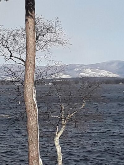 Lincoln Park - Gilford, NH