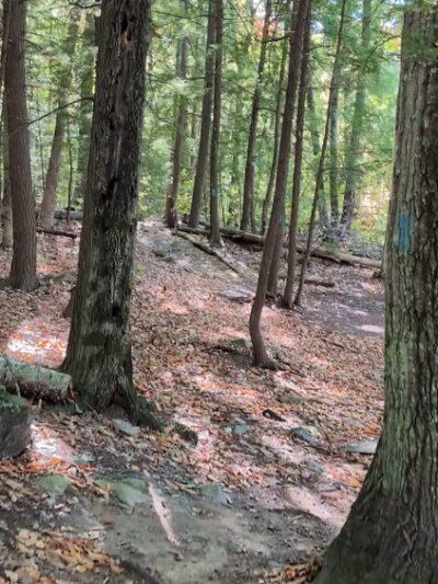 Lockes Hill Trailhead - Gilford, NH