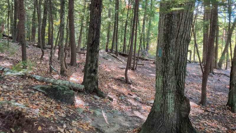 Lockes Hill Trailhead - Gilford, NH