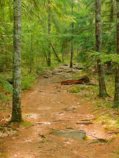 Lockes Hill Trailhead - Gilford, NH