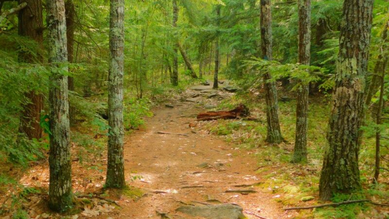 Lockes Hill Trailhead - Gilford, NH