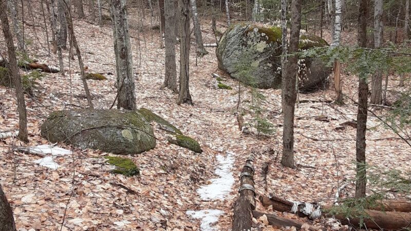 Ramblin' Vewe Farm Trail Parking Lot - Gilford, NH