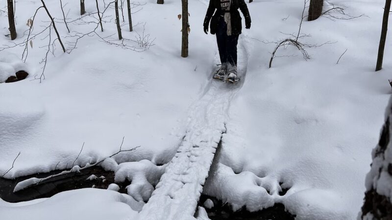 Ramblin' Vewe Farm Trail Parking Lot - Gilford, NH