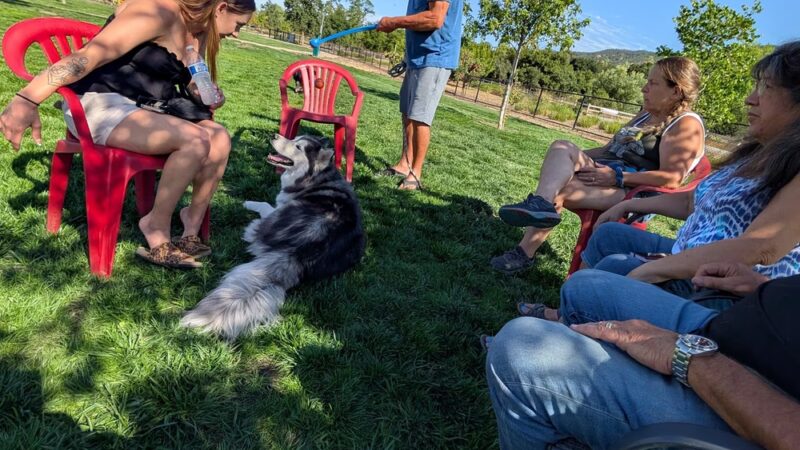 3rd Street Dog Park - Gilroy, CA