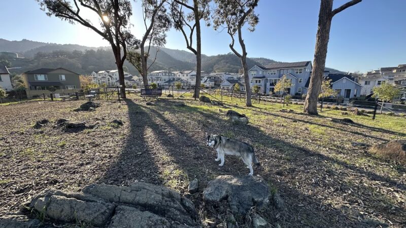 Glen Loma Ranch Dog Park - Gilroy, CA