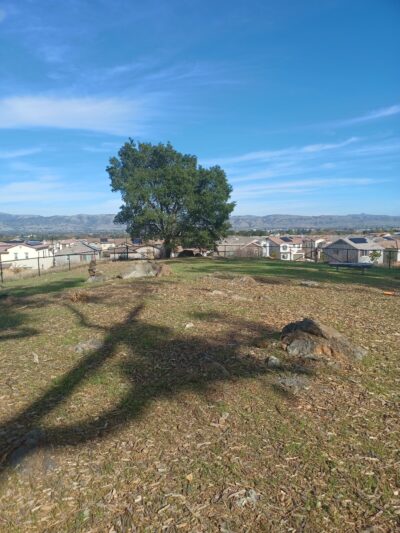 Glen Loma Ranch Dog Park - Gilroy, CA
