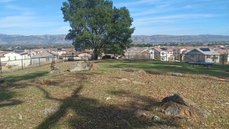 Glen Loma Ranch Dog Park - Gilroy, CA