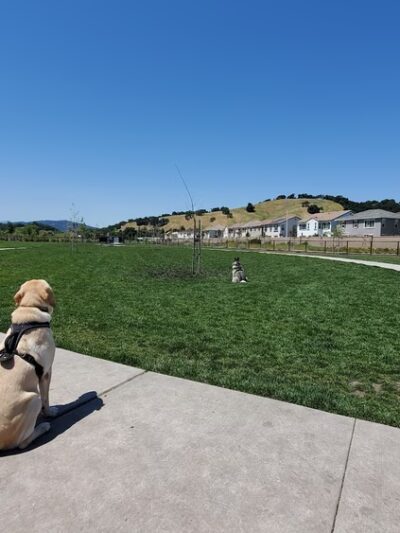 Hecker Pass Park - Gilroy, CA