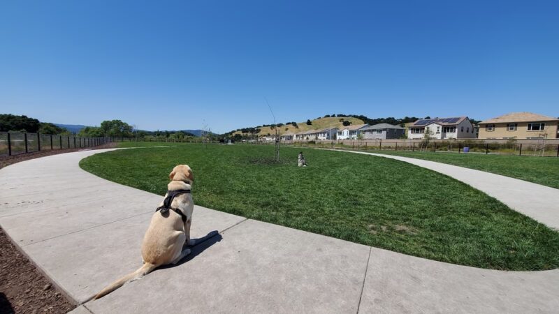 Hecker Pass Park - Gilroy, CA