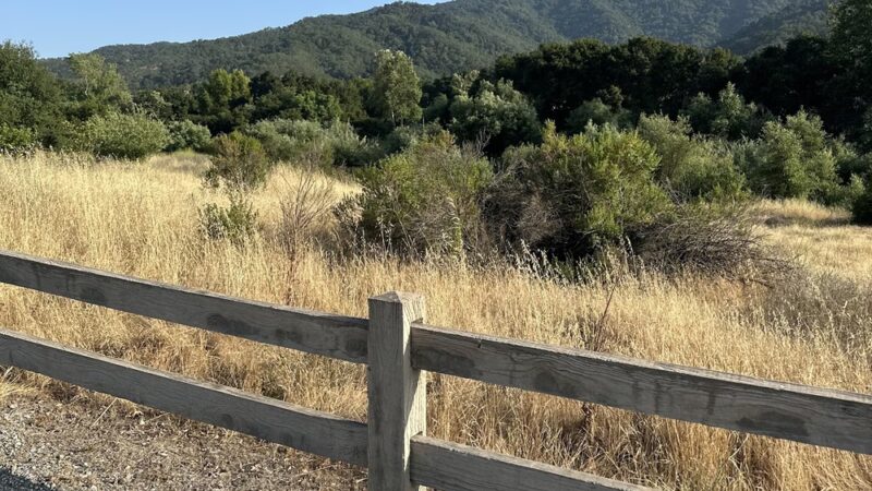 Hecker Pass Park - Gilroy, CA
