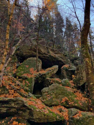 Bears Den Natural Area - Gilsum, NH