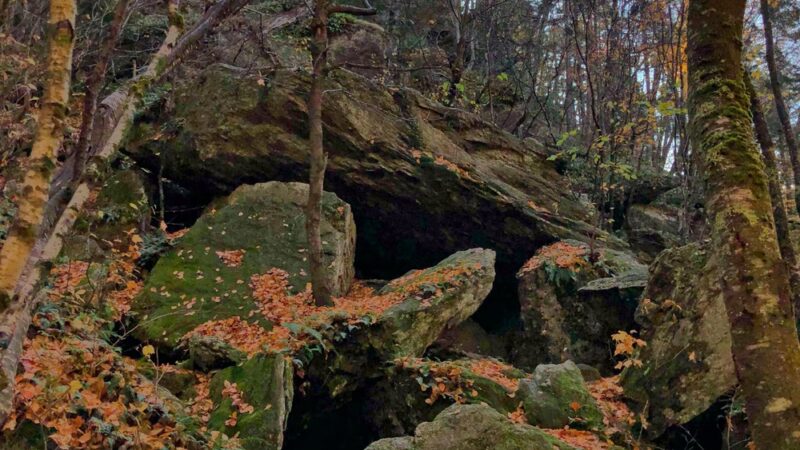 Bears Den Natural Area - Gilsum, NH