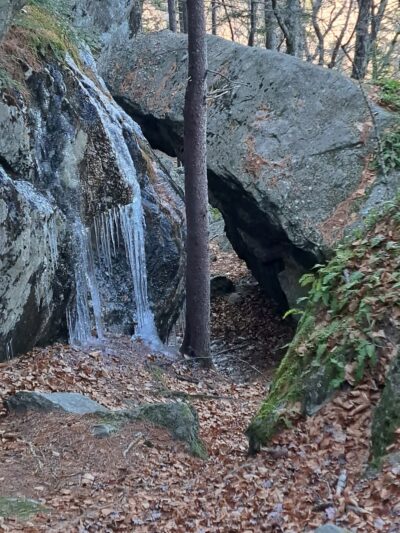 Bears Den Natural Area - Gilsum, NH