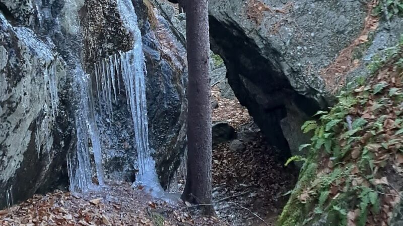 Bears Den Natural Area - Gilsum, NH