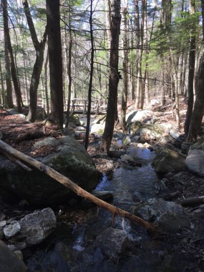 Bears Den Natural Area - Gilsum, NH