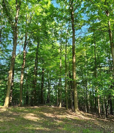 Girard Waterworks Park - Girard, PA