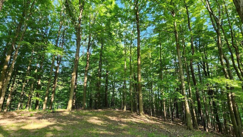 Girard Waterworks Park - Girard, PA