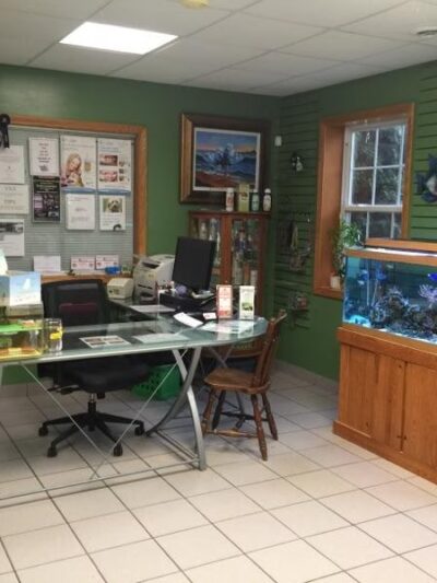 Paws 'n Claws - Girard - Girard, PA