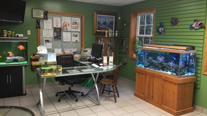 Paws 'n Claws - Girard - Girard, PA