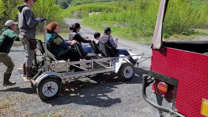 Girdwood Summer Sled Dog Adventure - Girdwood, AK