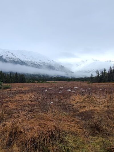 Moose Meadow Park - Girdwood, AK