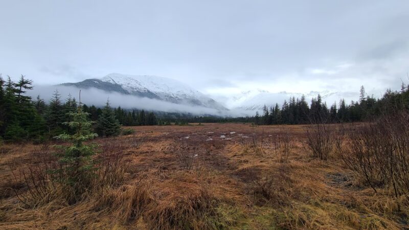 Moose Meadow Park - Girdwood, AK