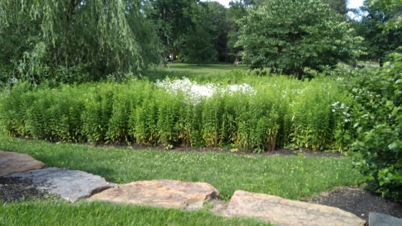 Austin Memorial Park - Gladwyne, PA