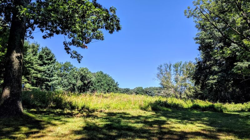 Natural Lands' Saunders Woods Preserve - Gladwyne, PA