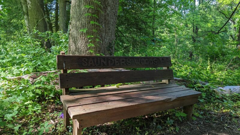 Natural Lands' Saunders Woods Preserve - Gladwyne, PA