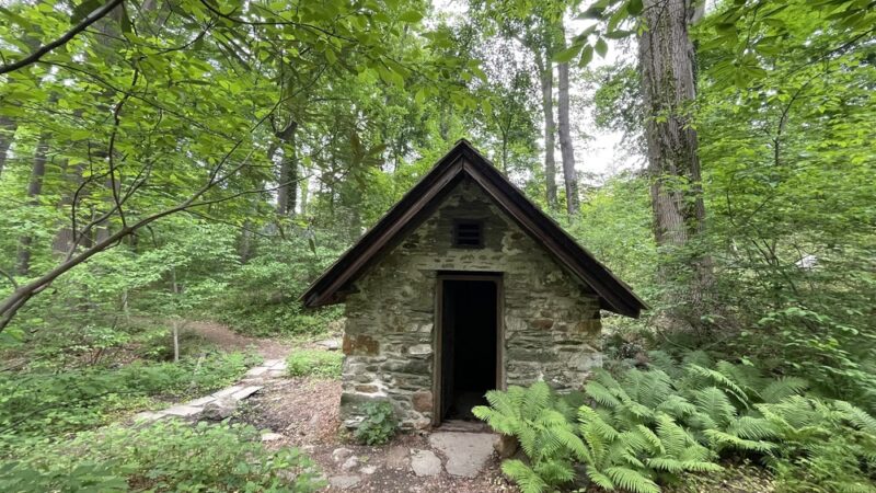 Natural Lands' Saunders Woods Preserve - Gladwyne, PA