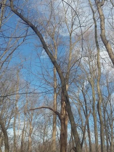 Looney Park - Glassboro, NJ