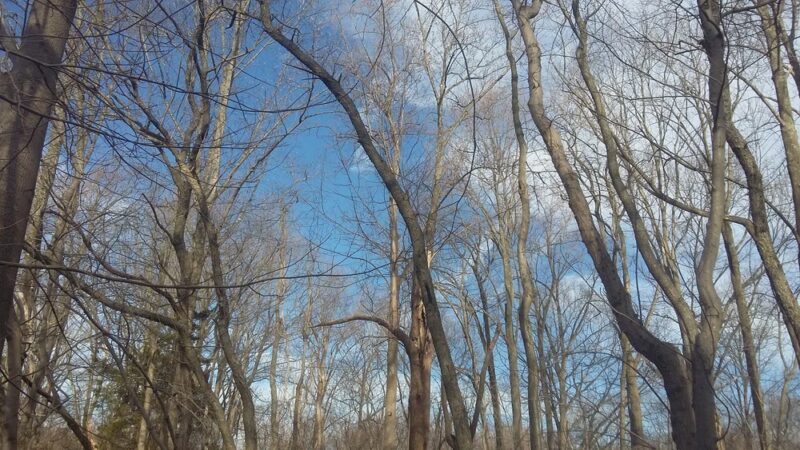 Looney Park - Glassboro, NJ