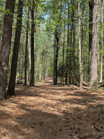 J.B. Williams Park - Glastonbury, CT