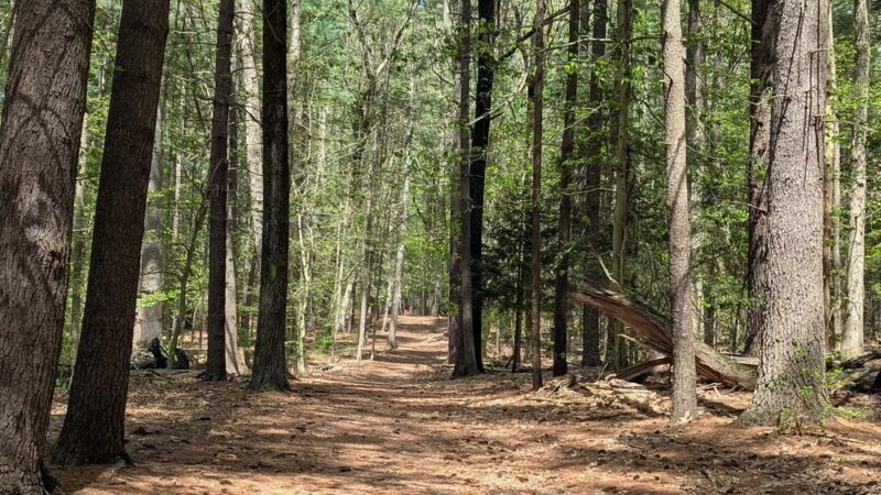 J.B. Williams Park - Glastonbury, CT
