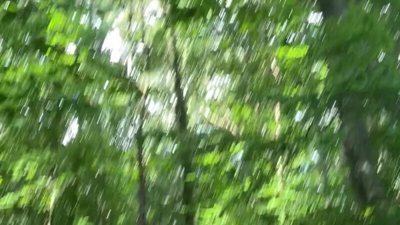 J.B. Williams Park - Glastonbury, CT