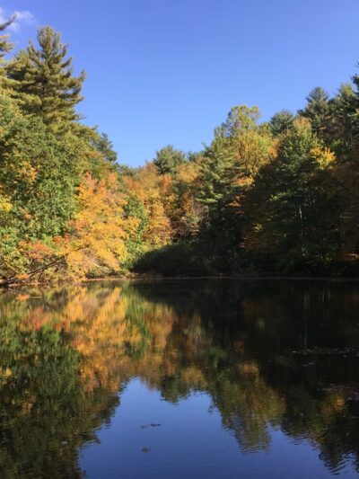 J.B. Williams Park - Glastonbury, CT