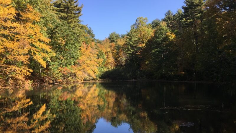 J.B. Williams Park - Glastonbury, CT