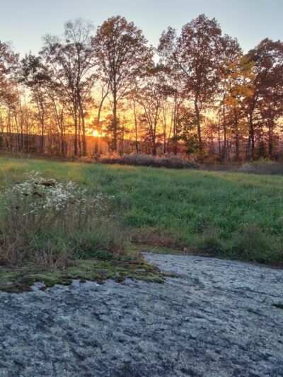 Longo Open Space - Glastonbury, CT