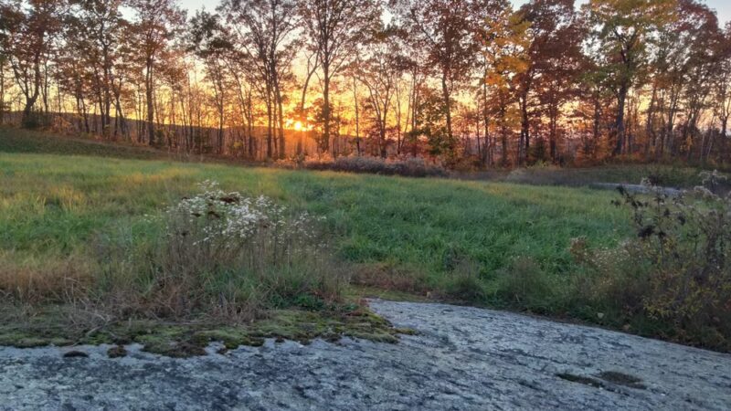 Longo Open Space - Glastonbury, CT