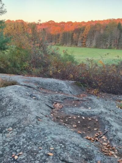 Longo Open Space - Glastonbury, CT