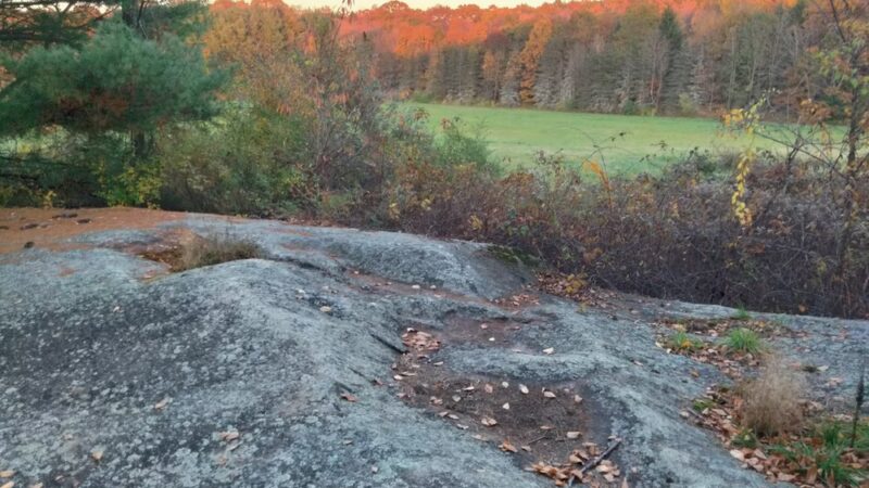 Longo Open Space - Glastonbury, CT