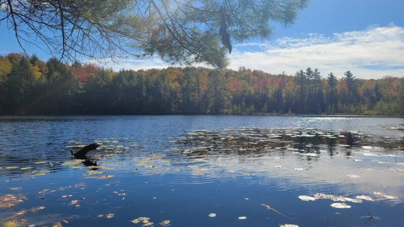 Dog Lake Shelter - Gleason, WI