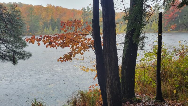 Dog Lake Shelter - Gleason, WI