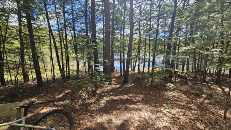 Dog Lake Shelter - Gleason, WI