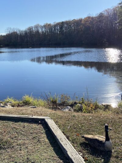 Echo Lake Park - Glen Allen, VA