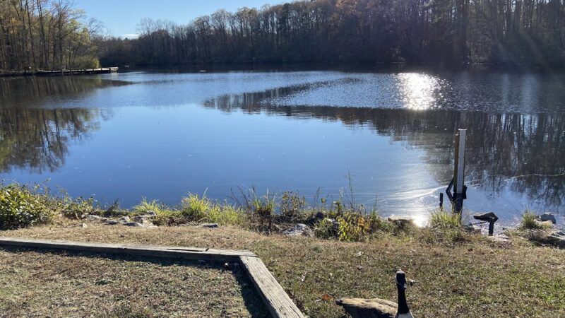 Echo Lake Park - Glen Allen, VA