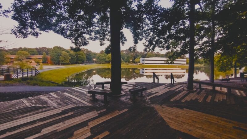 Lake Innsbrook - Glen Allen, VA